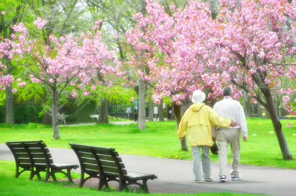 öregségi nyugdíj Japánban