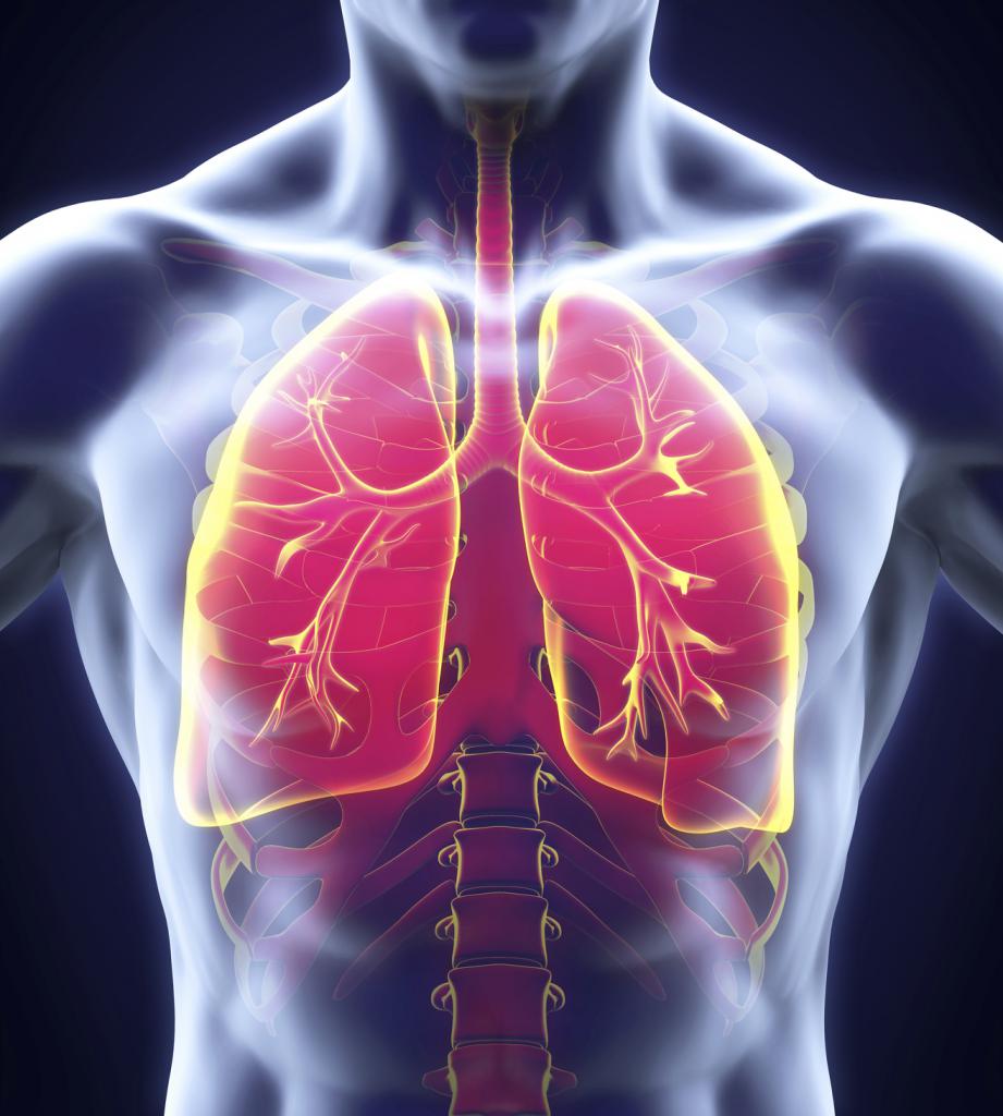 Standarder för behandling av lunginflammation