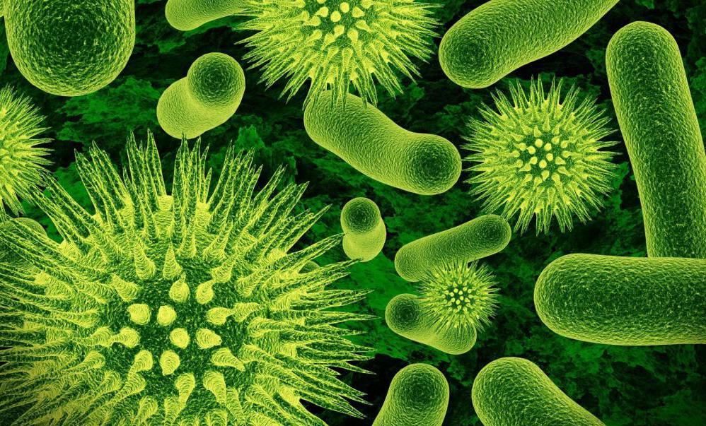 Pathogenitätsgruppen von Mikroorganismen