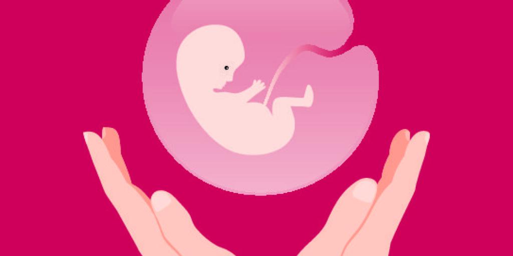 A mesterséges abortusz engedélyezésének jellemzői