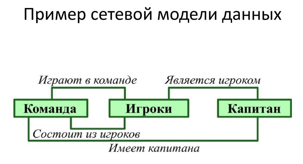 síťová forma organizace