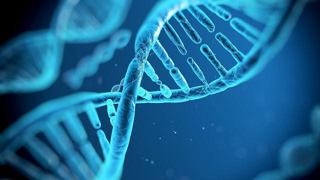 bewijs van de rol van DNA bij de overdracht van genetische informatie