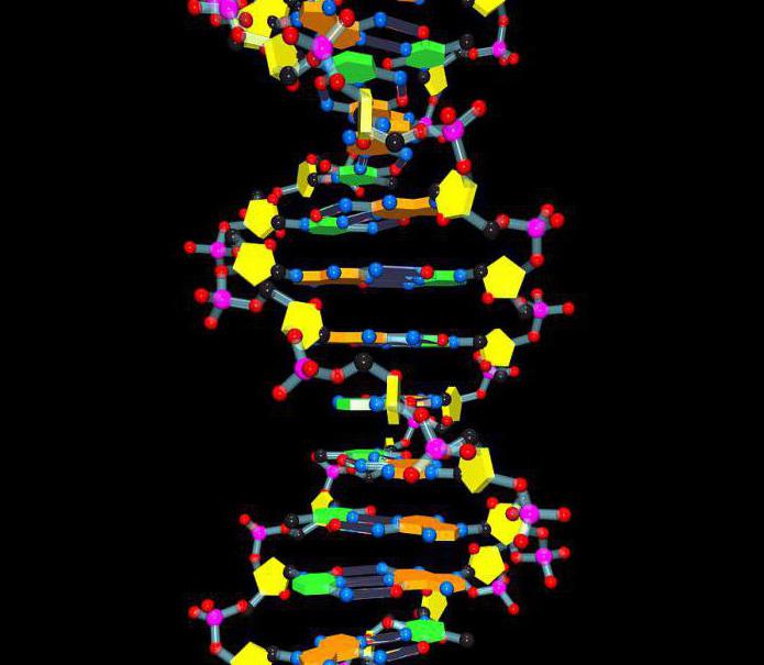direct bewijs van de genetische rol van DNA