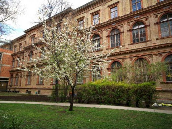 rakouské univerzity