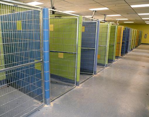 how to open a shelter for animals where to start