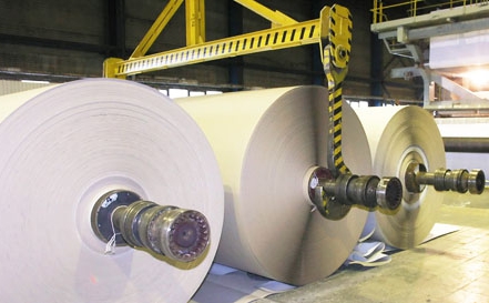 suroviny pro výrobu papíru
