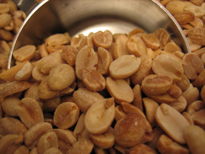 Erdnussbutter Produktionsanlagen