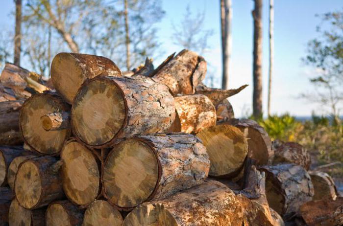 avis sur les entreprises du bois