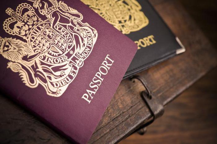 dual citizenship pros and cons for citizens of the state