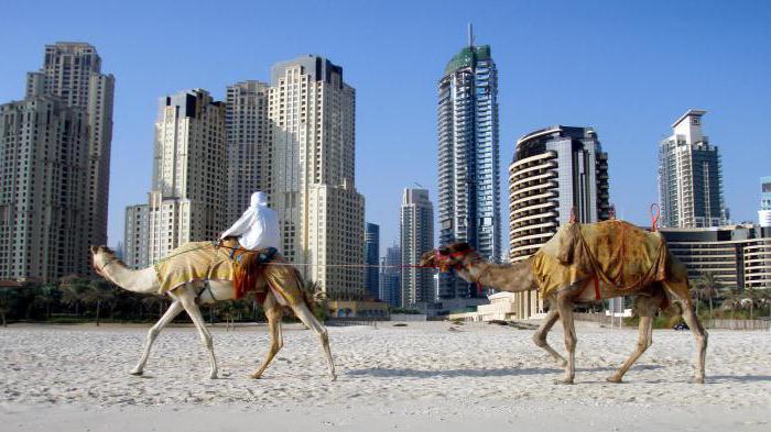 Är det möjligt att få medborgarskap i Förenade Arabemiraten