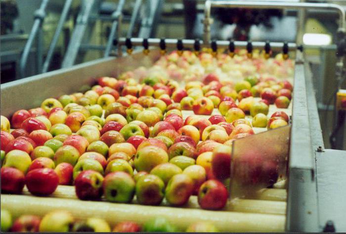 výroba jablečného moštu ve rf