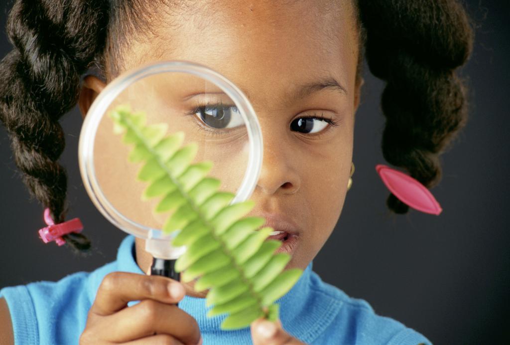 fille examine une feuille