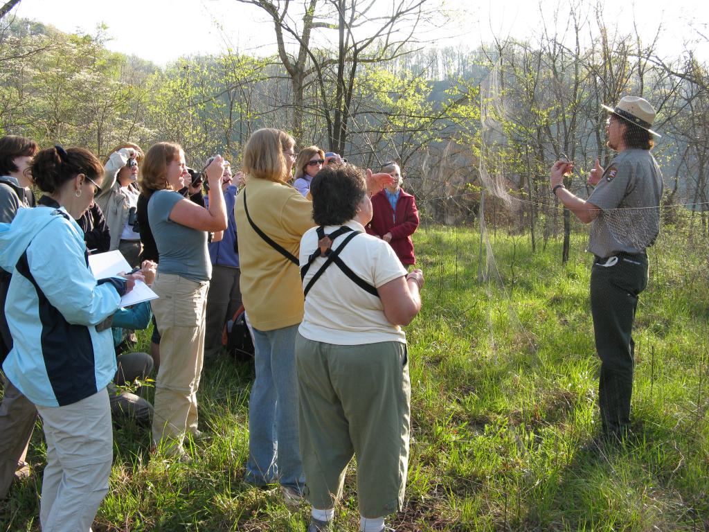 excursie in het bos