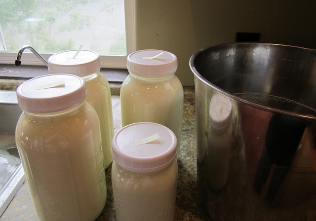 Homemade milk is a valuable product.