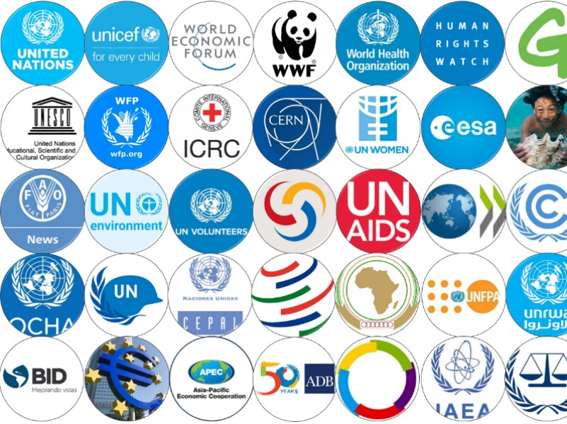 nemzetközi szervezetek