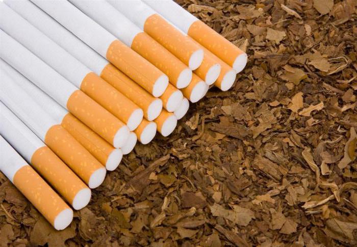 cena licence na prodej tabákových výrobků
