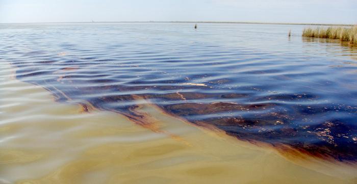 a víztestek olajszennyeződése