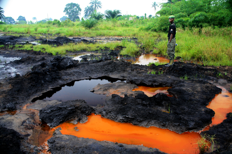 effects of oil pollution