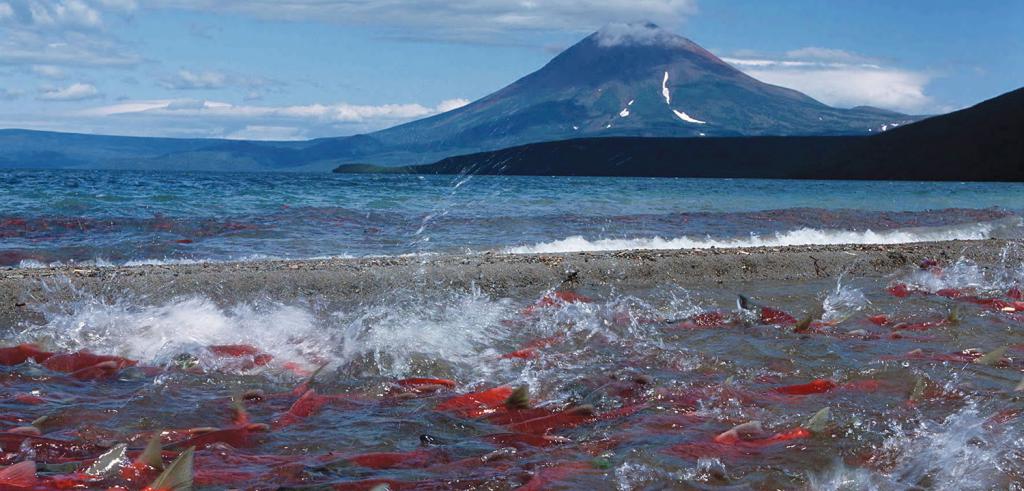 Kamchatka natuur