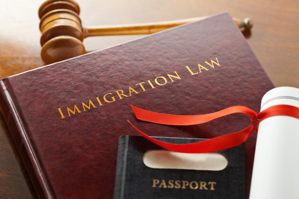 Immigration Law Book
