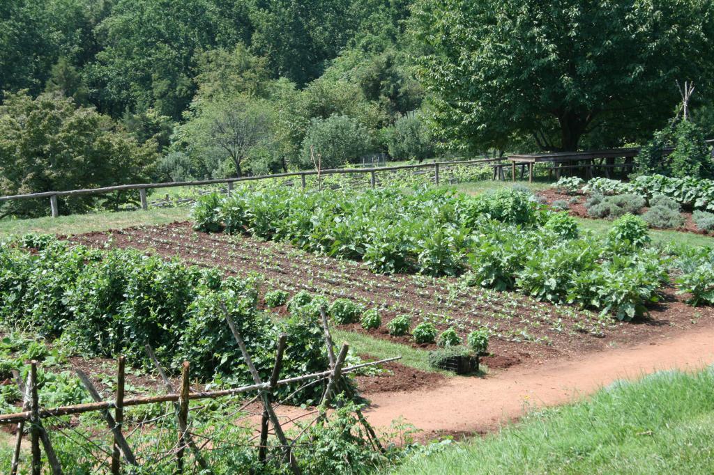 de behoefte aan landmeten van tuinpercelen