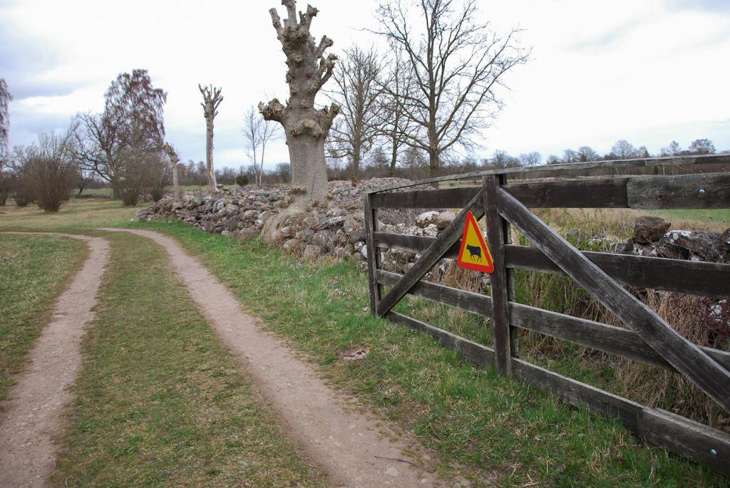 öffentliche Dienstbarkeitsgesetzgebung