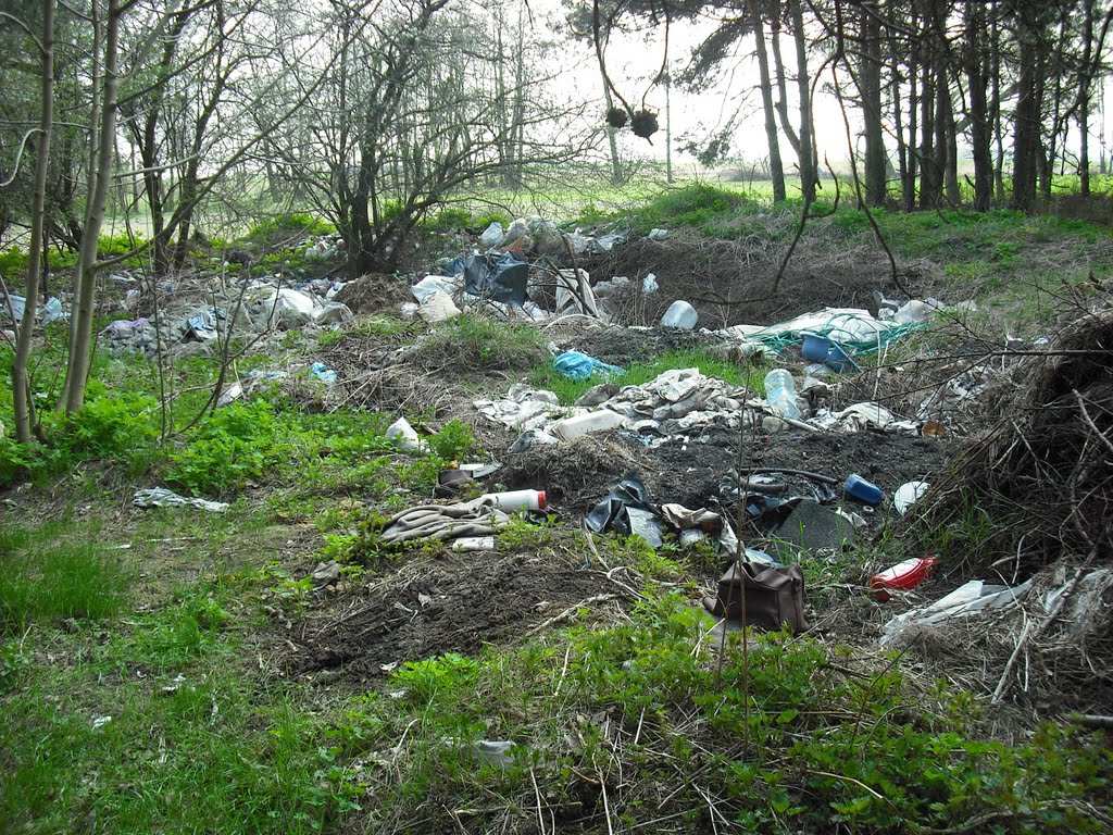 stortplaats in het bos