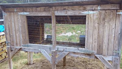 élevage de lapins à la maison pour débutants