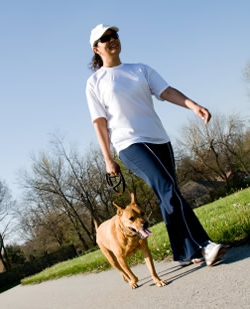 Wie viel kostet das Laufen mit dem Hund?