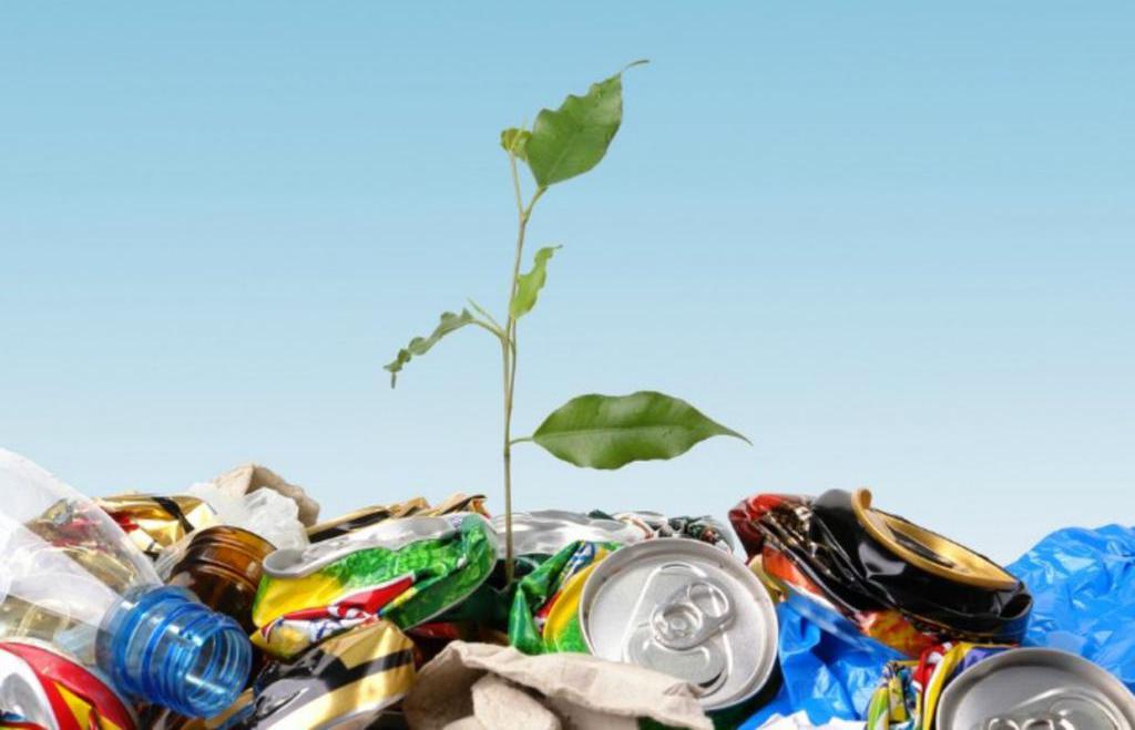 השפעה אקולוגית של פסולת