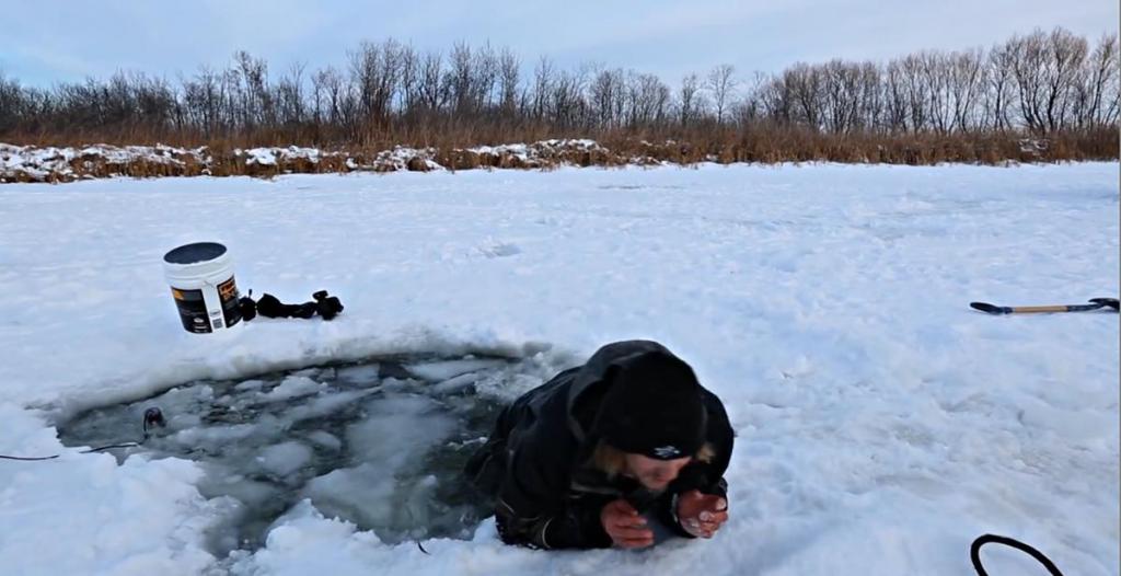 Внимателно изпълзете от пелин.