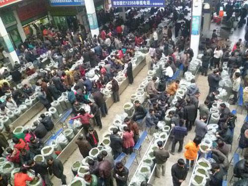 Guangzhou elektronikai nagykereskedelmi piac