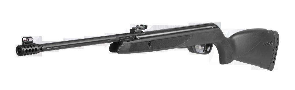 Gamo ours noir